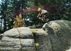 Tanvaldský Špičák - MTB Bikepark