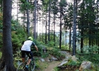 Tanvaldský Špičák - MTB Bikepark