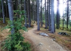 Tanvaldský Špičák - MTB Bikepark