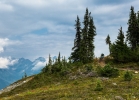 The Kootenays x SB6 Carbon (video)