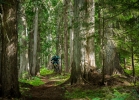 The Kootenays x SB6 Carbon (video)