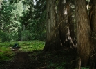 The Kootenays x SB6 Carbon (video)
