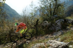 Trek Remedy 9 - Test