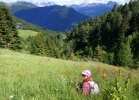 Val di Fiemme