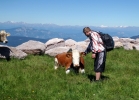 Val di Fiemme