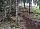 Val di Sole