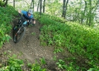 Whyte 905 - review