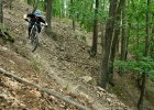 Whyte E-180 RS - review