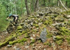 Whyte E-180 RS - review