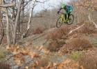Whyte Gisburn - review (2019)