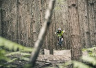 Whyte kids/junior trail bikes 2020