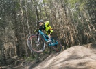 Whyte kids/junior trail bikes 2020