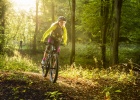 Whyte kids/junior trail bikes 2020