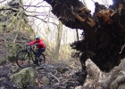 Whyte S-150 RS Carbon - review