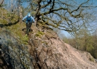 Whyte S-150 RS Carbon - review