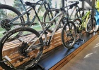 Whyte - showroom opening