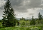 Yeti SB115 - tech news