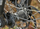 Zipp 3Zero MOTTO - review