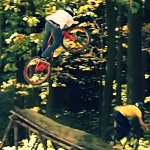 Tomaass-edit-2012